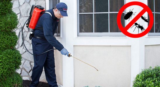 Köprübaşı Karınca İlaçlama böcek ilaçlama ve haşere kontrolü — ilaclama-tr.com